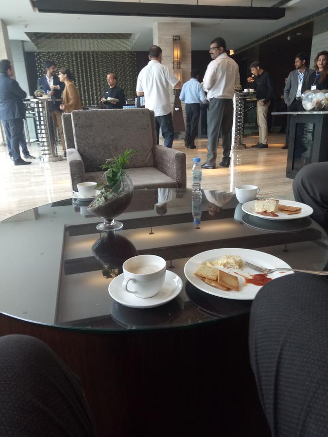 نيودلهي Hotel Ivy Plaza Luxury المظهر الخارجي الصورة